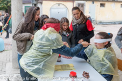 13 ottobre 2013